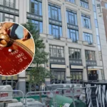 New Dishoom Restaurant Set for South Bank, London 2026