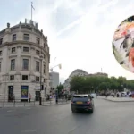 UK Grocery Inflation Eases to Lowest Rate in London 2026