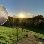 Wildfire Warning Issued For Richmond Park, London 2026