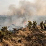 Wildfires UK Causes, Risks, and Prevention Management in London