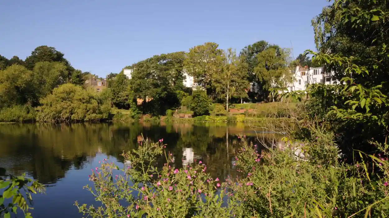 Hidden Walks, Parliament Hill Views & Kenwood Hampstead