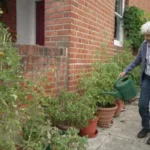 St John's Wood Street Garden Dispute in London, 2026