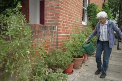 St John's Wood Street Garden Dispute in London, 2026