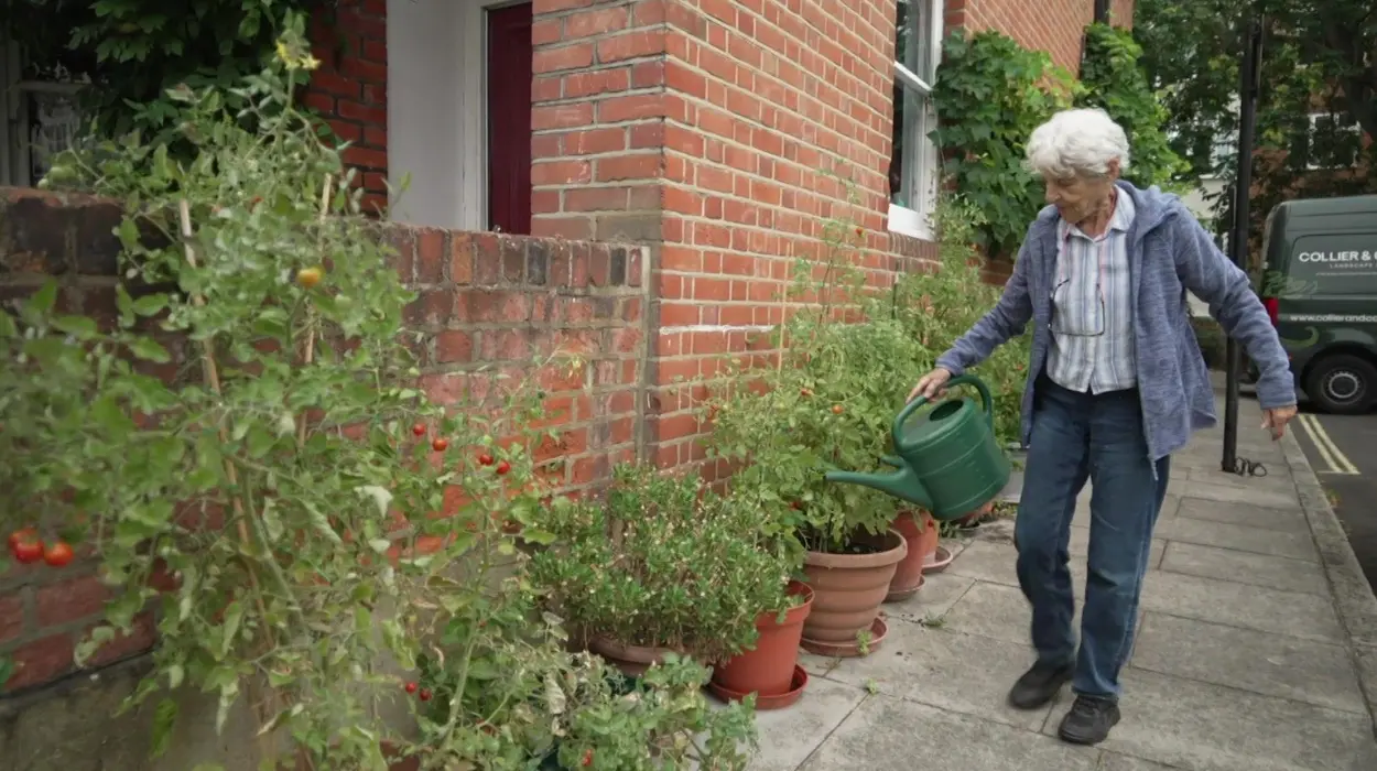 St John's Wood Street Garden Dispute in London, 2026
