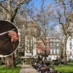 Stabbing in Mayfair, Berkeley Square: London Incident 2026